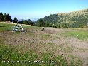 Coll de Queralt ou Collada de Baix - ES-L-2033