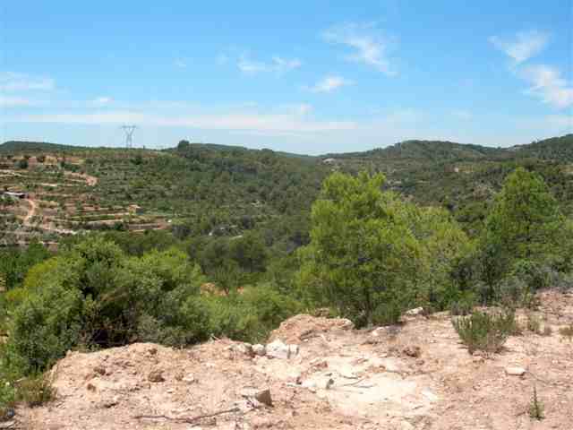 Agrandir l'image