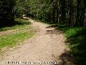 Col de la Baraque - FR-12-0739