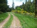 Col du Debez - FR-12-0761a