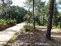 Agrandir l'image Coll de Tramuntana - ES-GI-0270a