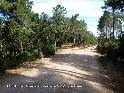 Agrandir l'image Coll de Tramuntana - ES-GI-0270a