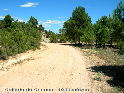 Collado de Cuenca - ES-CU- 1055 mtres