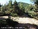 Coll de Guilera - ES-L-1653 (1649 mtres)