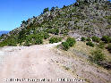 Coll de l'Home Mort - ES-L-1855b (1846 mtres)