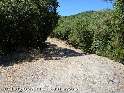 Coll de Sant Elies - ES-B-0931