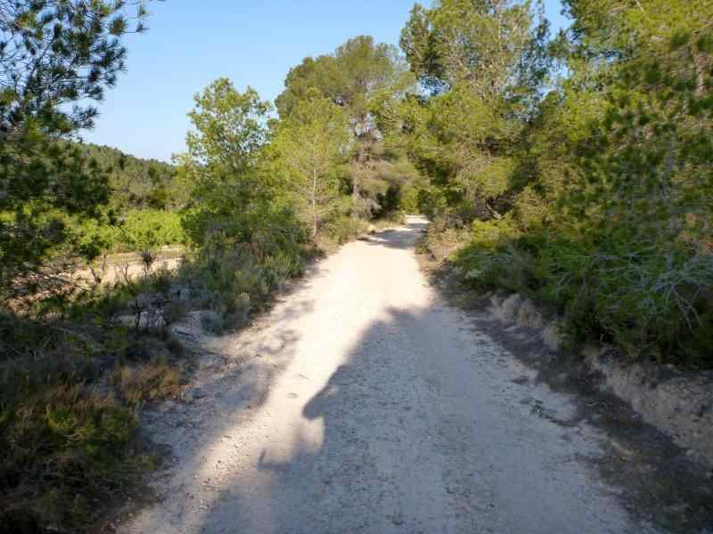 Agrandir l'image En direction du Coll de Comes