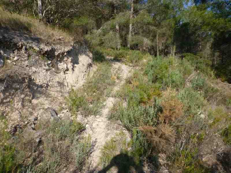 Agrandir l'image En direction du Coll de Comes