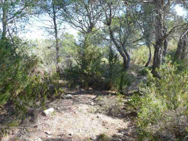 Agrandir l'image En direction du Coll del Sabó