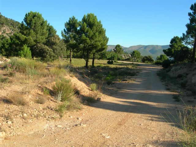 Agrandir l'image En direction du Collado del Agua