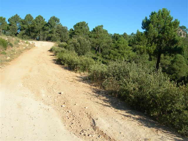 Agrandir l'image En direction du Collado del Agua