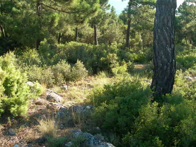 Agrandir l'image Santuario de la Casa de Cristo