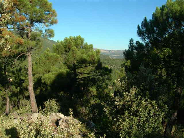 Agrandir l'image En direction du Collado del Agua