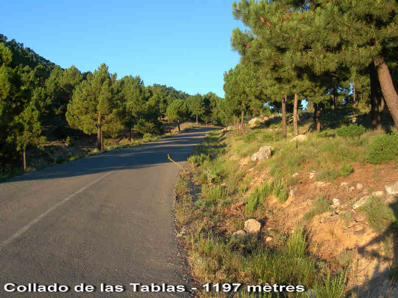 Agrandir l'image Collado de las Tablas - ES-MU- 1197 mètres