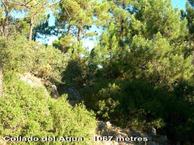 Agrandir l'image Collado del Agua - ES-MU- 1067 mètres