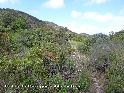 Col de la Garrigue - FR-11-0445