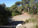 Agrandir l'image Coll del Bosc de Manolo - ES-T-0585