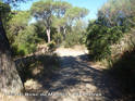 Collado del Bosc de Manolo