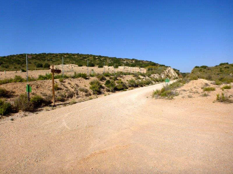 Agrandir l'image Camino de la Casa Don Jorge