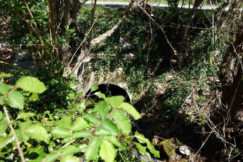 Agrandir l'image De la halte d'Apt-Madeleine à la gare de Saignon