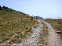 Col de la Rgine - FR-66-1762