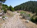 Coll de Pendis - ES-B-1786 (1781 m)