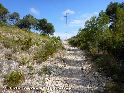 Coll de Reps