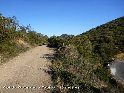 Col du Gour de la Taule - FR-34-0117