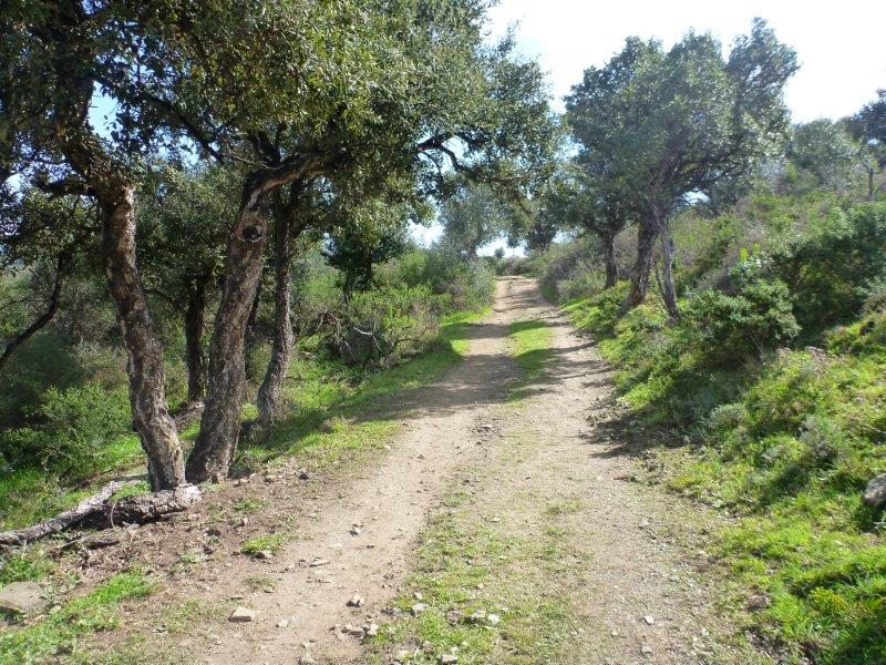 En direction du Coll de sa Devesa