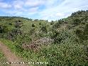 Agrandir l'image Coll de Maó - ES-GI-0155a