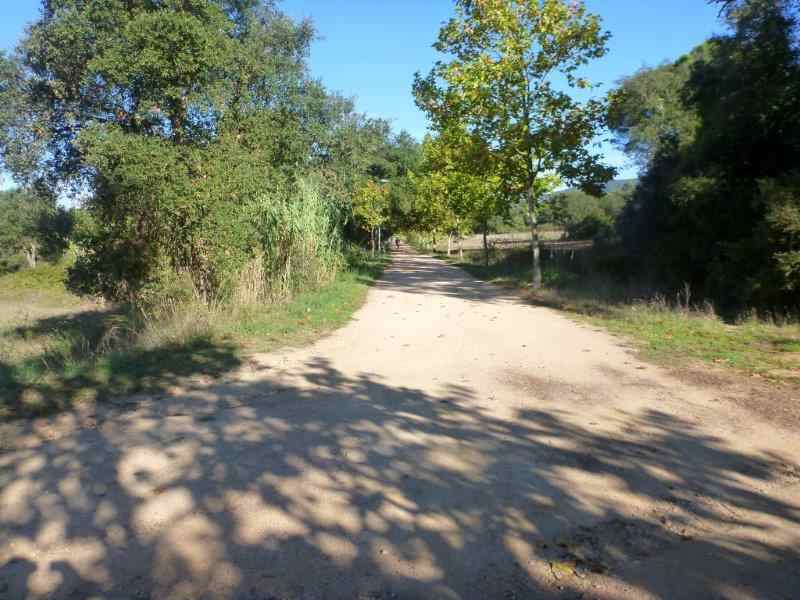 Agrandir l'image Via Verde del Carrilet