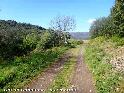 Col de Cabausse - FR-34-0562