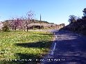 Col de la Croix de Barrac - FR-34-0261