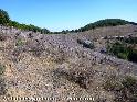 Col de la Rabidote - FR-34-0245a