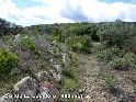 Col de la Louvire - FR-34-0490a