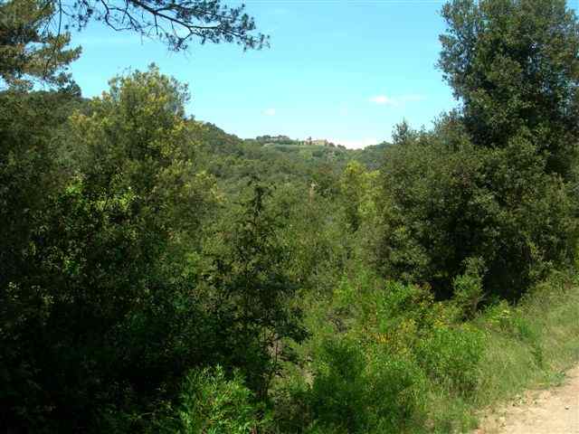 Chemin du Coll de Rialguer