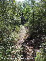 Agrandir l'image Coll d'Aresta - ES-GI-0596