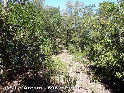 Agrandir l'image Coll d'Aresta - ES-GI-0596