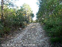 Agrandir l'image Coll de Ferreros (ICC) - 595 mètres