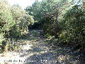 Agrandir l'image Coll de la Pinosa - ES-GI-0775a
