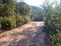 Agrandir l'image Coll de la Trapa - ES-GI-0200
