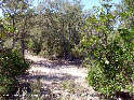 Agrandir l'image Collada de l'Artiga d'en Doners - ES-GI-0458