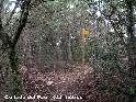 Agrandir l'image Collada del Fau - ES-GI-0925b