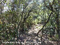 Agrandir l'image Collada Fonda - ES-GI-0585a