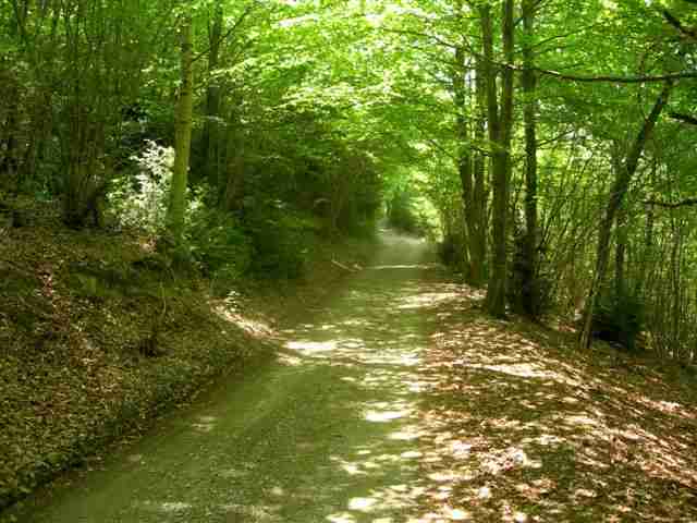 Agrandir l'image Piste du Coll d'Arrencafels