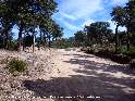Agrandir l'image Coll de la Creu d'en Baraquer - ES-GI-0315