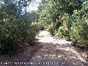 Agrandir l'image Coll de Sant Baldiri (ICC) - ES-GI-0325