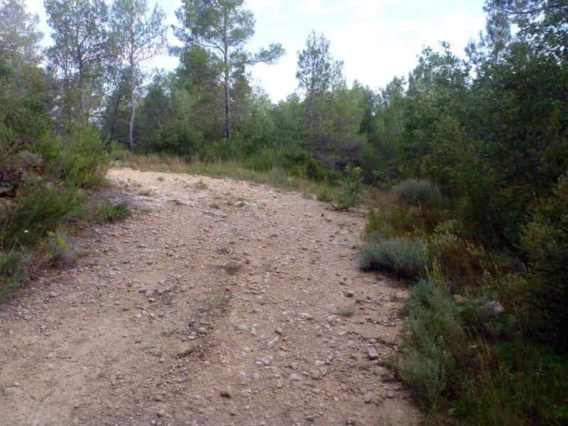 Du Coll Vendrell au Coll de Cal l'Amigo