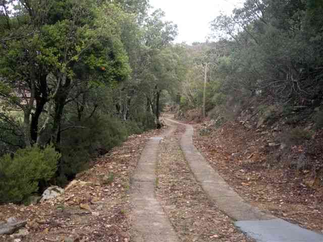 Agrandir l'image Chemin
