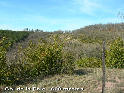 Col de la Pale - FR-12-0608